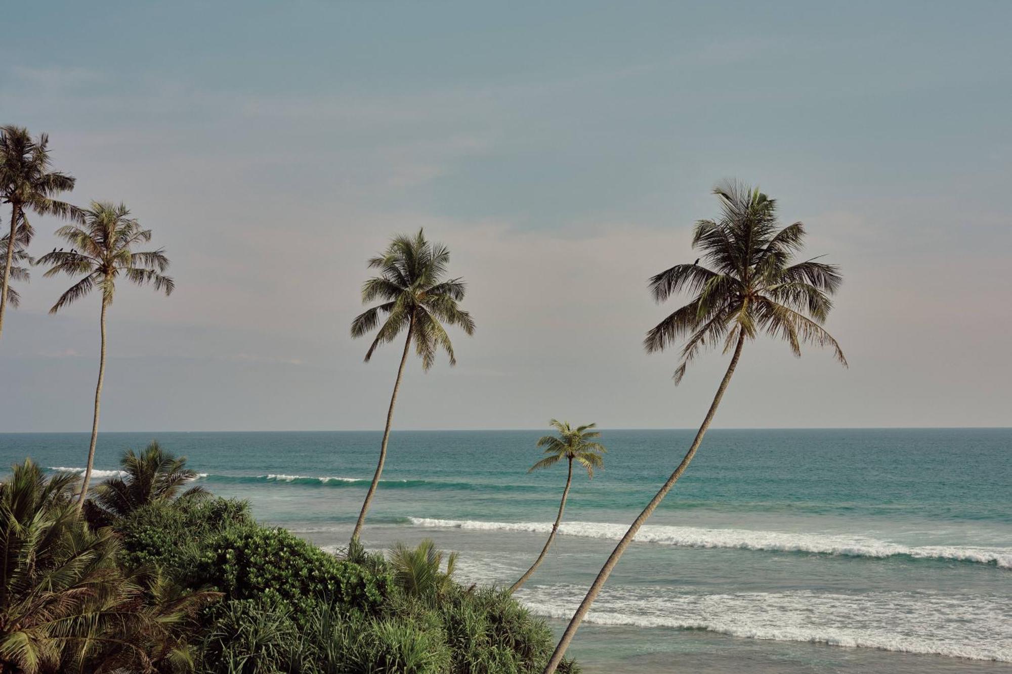 Gitano Surf Ahangama Beachfront Exterior photo
